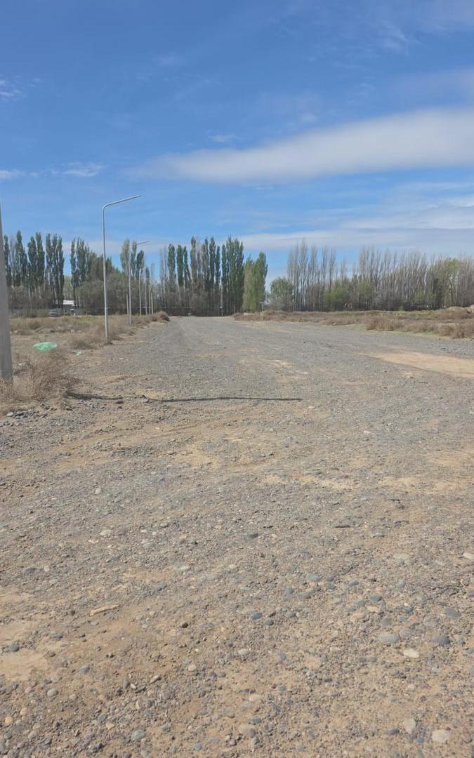 Foto de Venta Terreno en Añelo, imagen 5