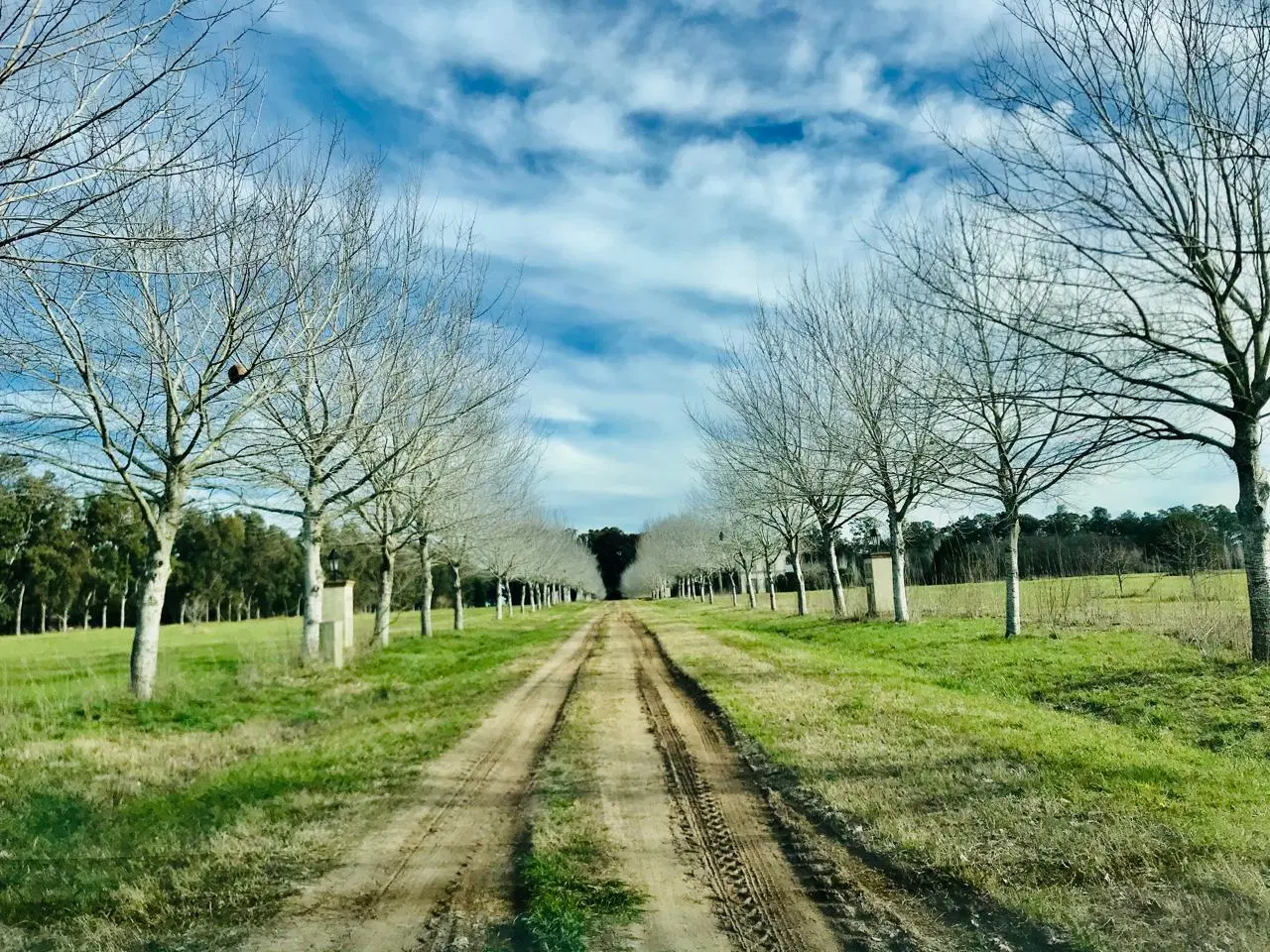 Lote en Estancia Villa Maria OPORTUNIDAD 4