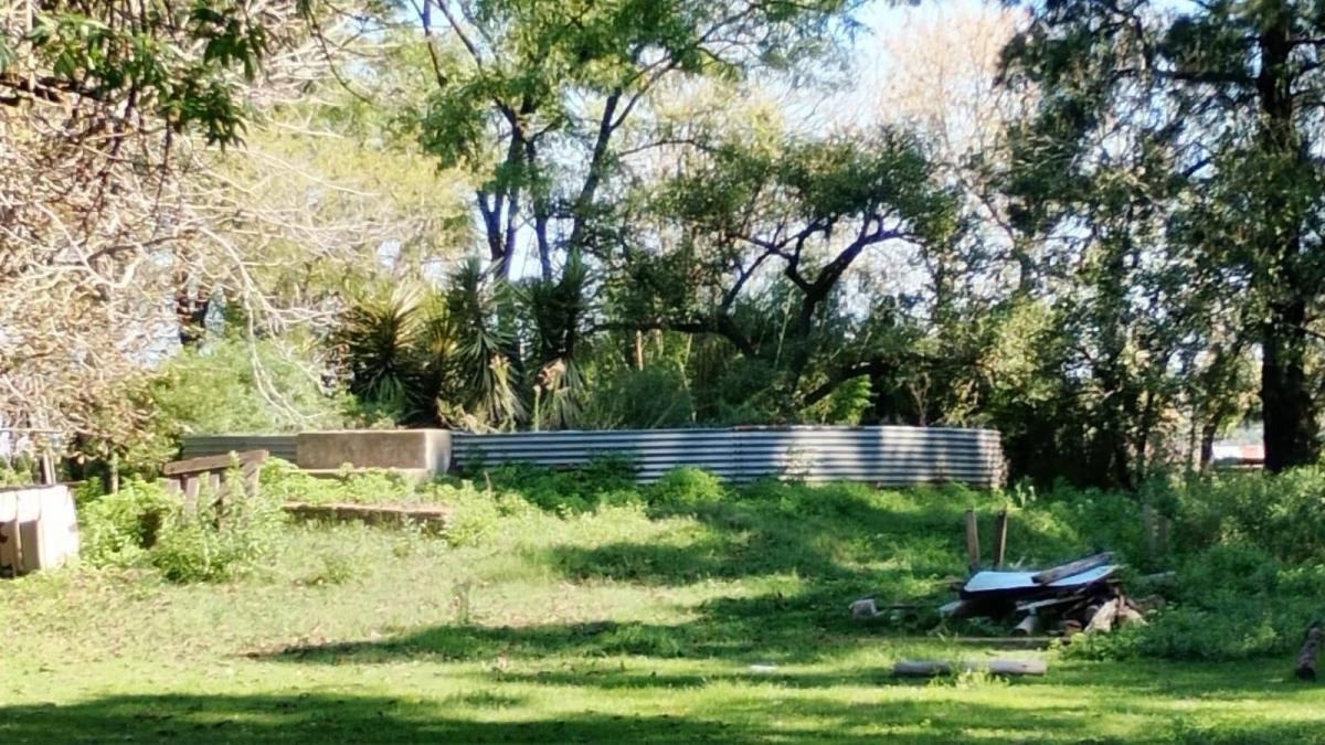 Foto de Campo en San Vicente 24 Hectareas, imagen 4