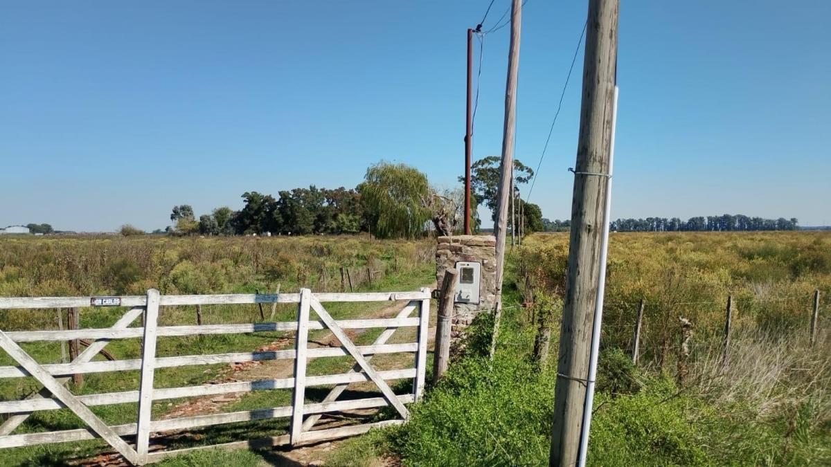 Foto de Campo en San Vicente 24 Hectareas, imagen 2