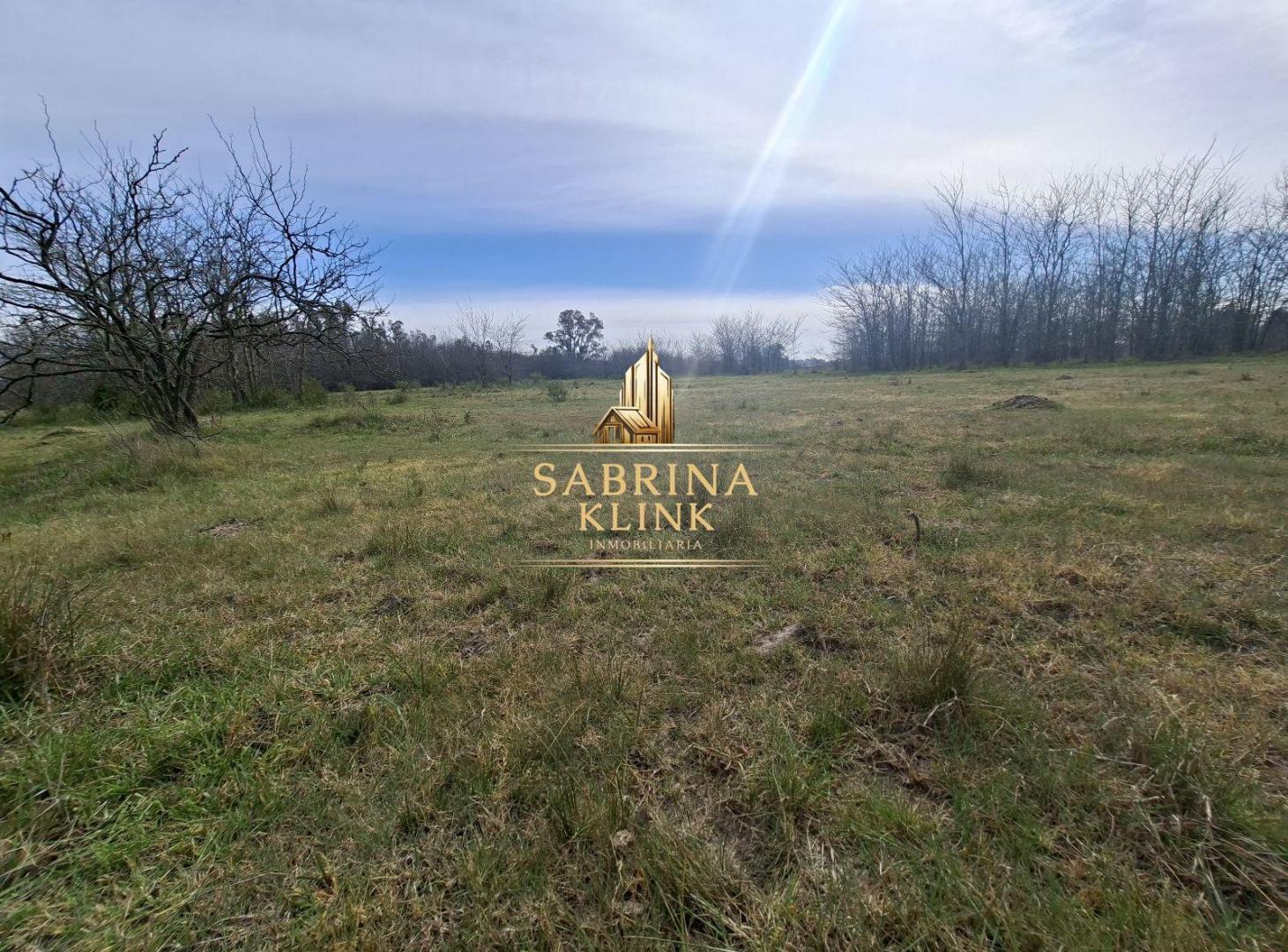 Foto de VENTA DE 1 HECTAREA EN CAÑUELAS, imagen 5