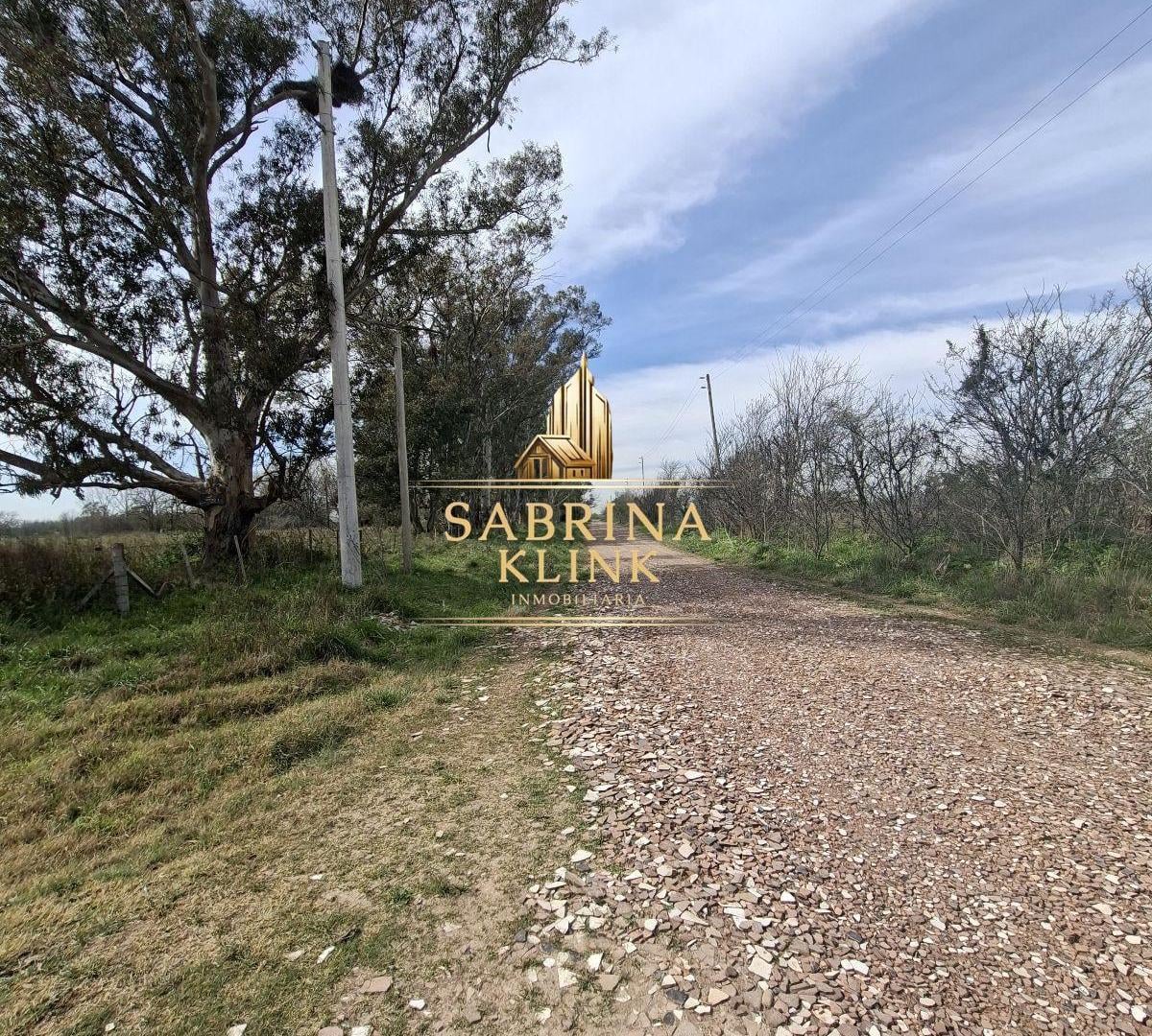 Foto de VENTA DE 1 HECTAREA EN CAÑUELAS, imagen 4