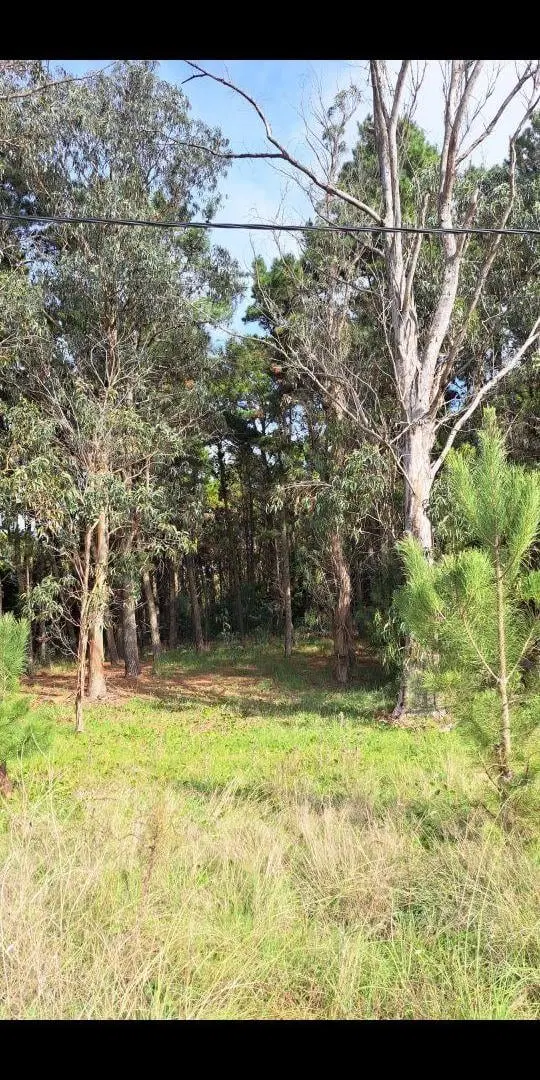 Terreno de 1080 m2 en venta en Mar de las Pampas 4