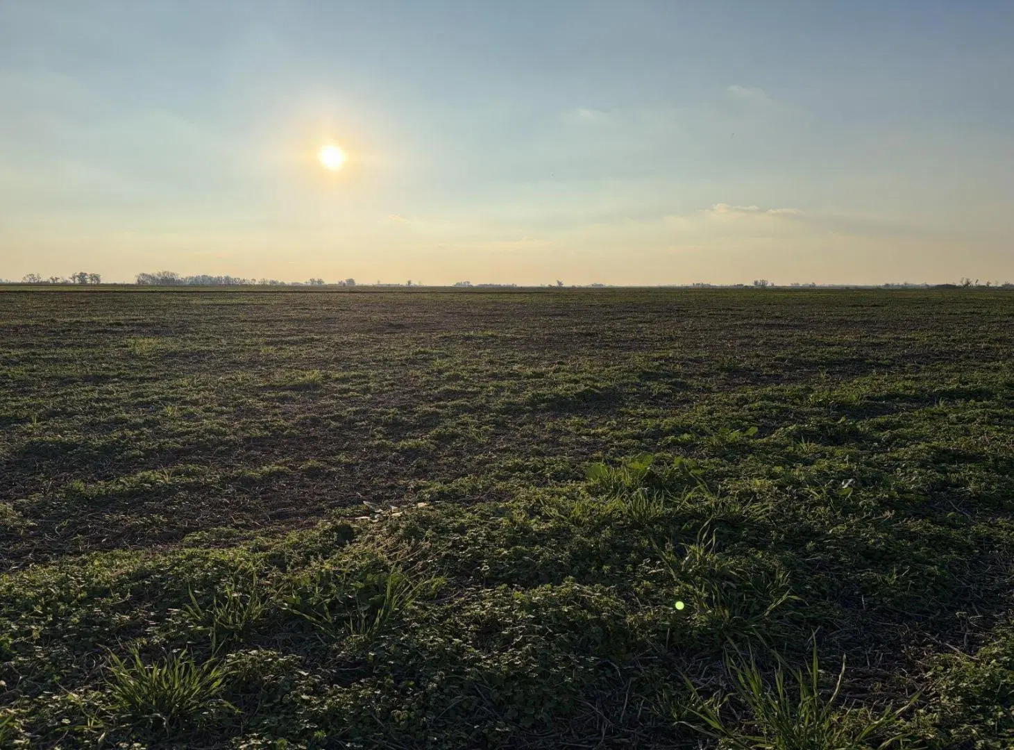 Campo en Totoras 5