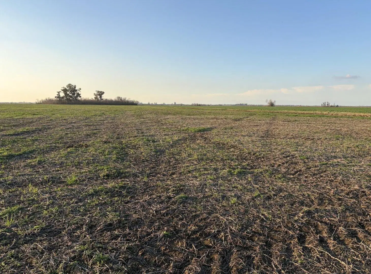 Campo en Totoras 3