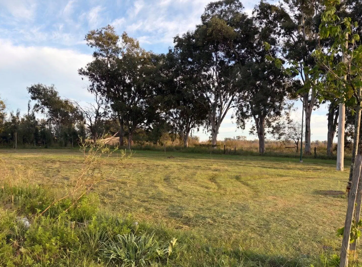 Lote en los Pinos 3. Piñeiro 1