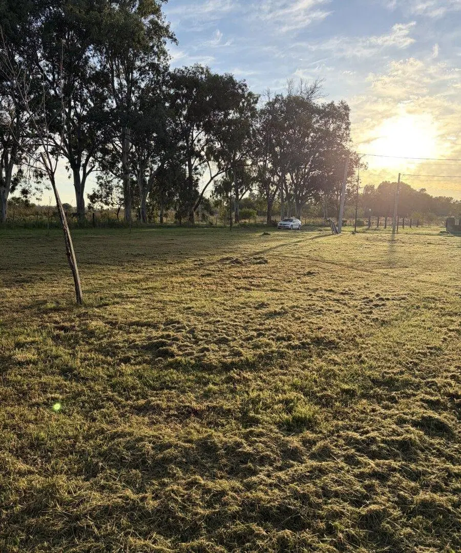 Lote en los Pinos 3. Piñeiro 3
