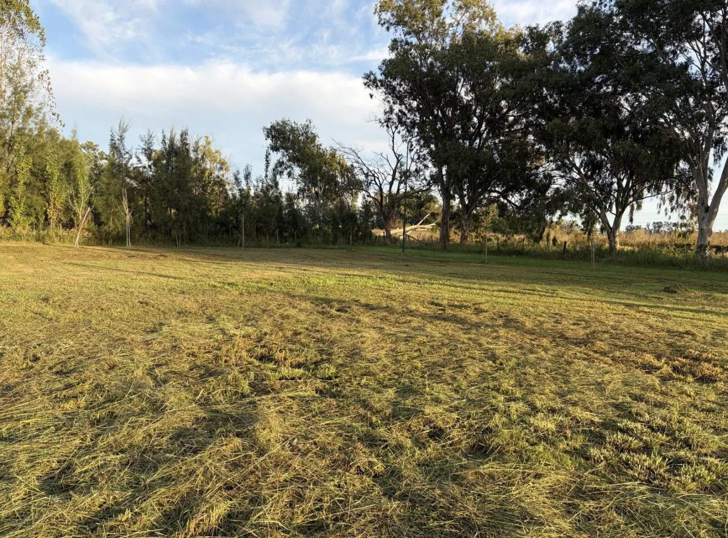 Lote en los Pinos 3. Piñeiro 5