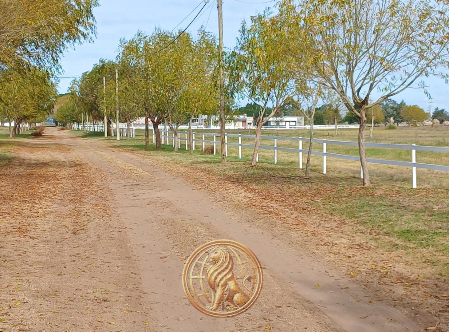 Foto de Venta Lote en Nueva Atlantis oportunidad, imagen 2