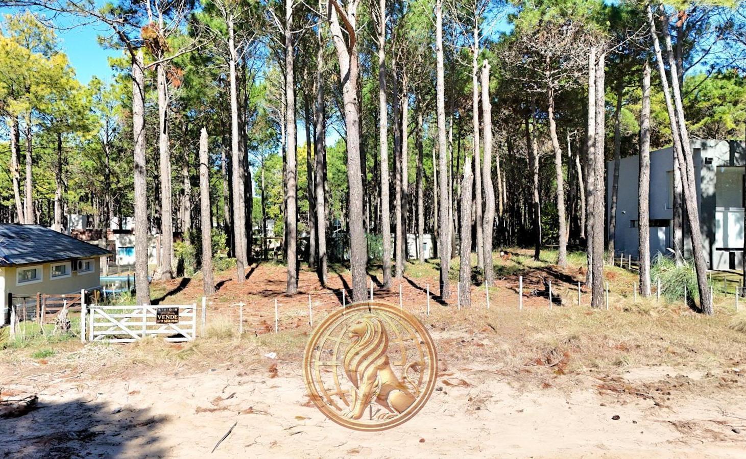Foto de Venta Terreno Pinamar Norte Oportunidad, imagen 4