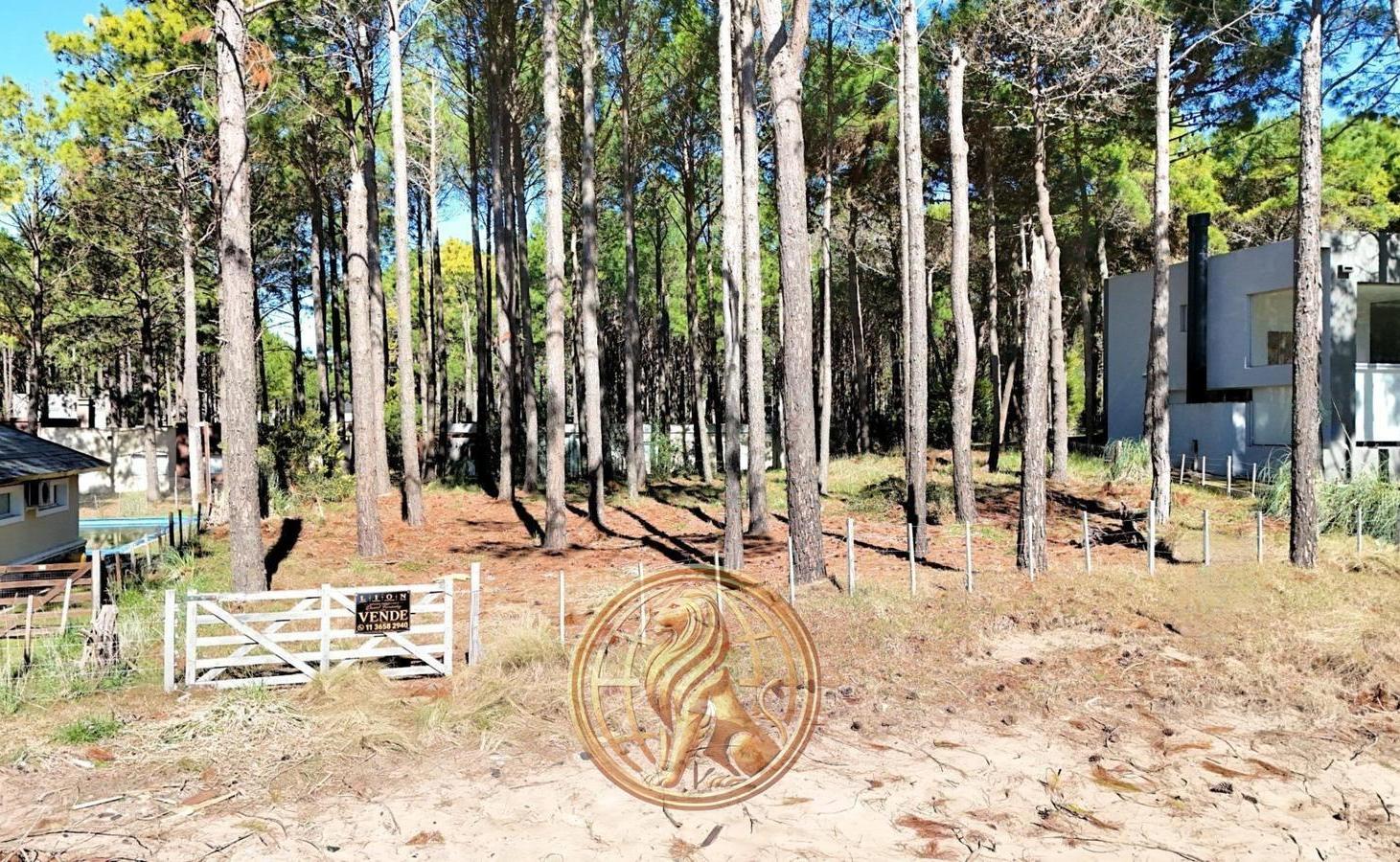 Foto de Venta Terreno Pinamar Norte Oportunidad, imagen 3