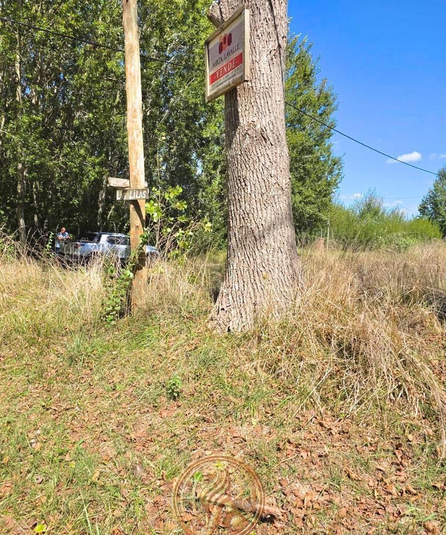 Foto de Venta Lote Costa del Este en Esquina, imagen 4
