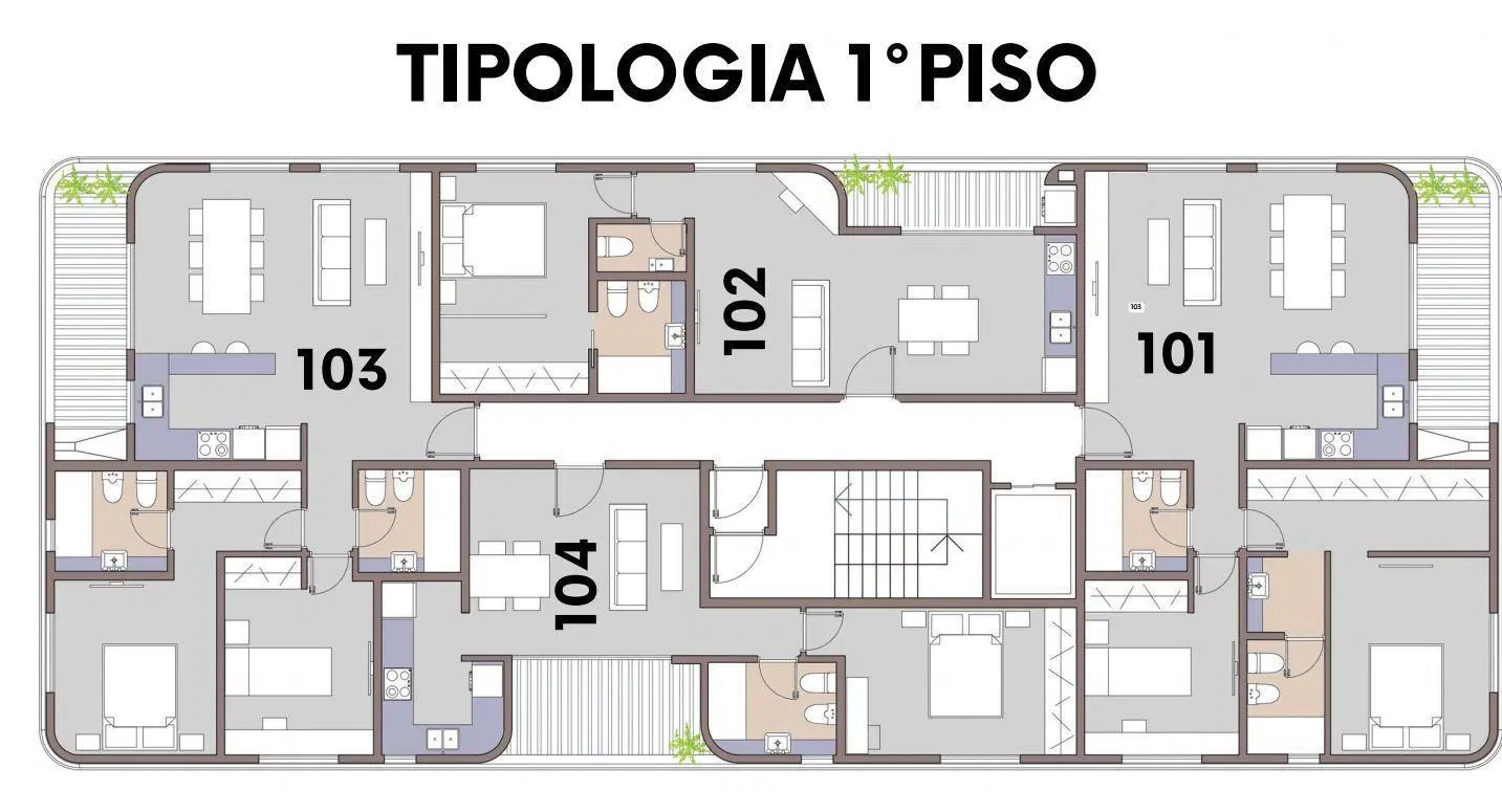 Plano 5