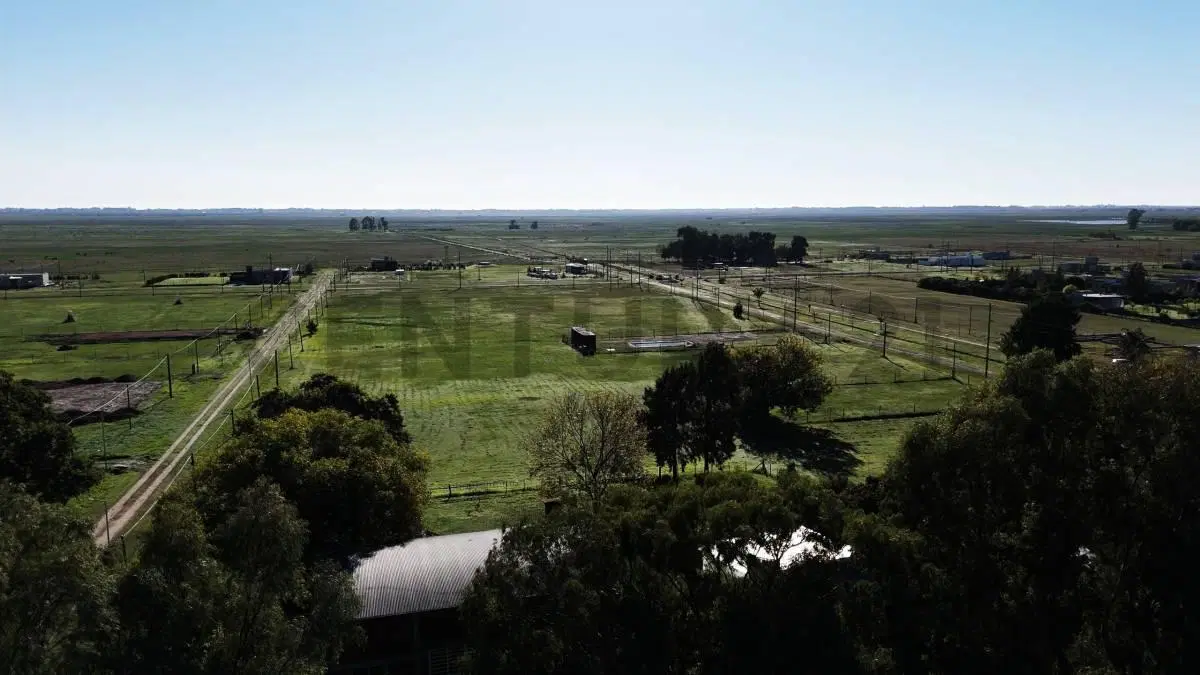 VENTA LOTES DE 1000 M2 EN  "FINCAS LA SOÑADA" RUTA 11 Y 655/ ESCRITURA INMEDIATA/SIN EXPENSAS 5