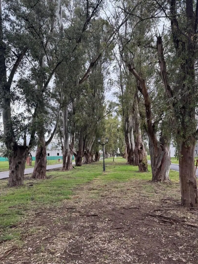 VENTA Lote /Pilar del Este / B° Santa Sofia/ 4