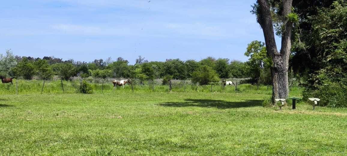 Foto de VENTA/ CAMPO/ LOS CARDALES (EXALTACION DE LA CRUZ), imagen 1