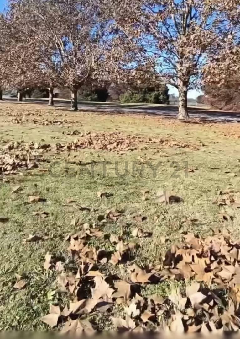 Foto de VENTA O PERMUTA POR MONOAMBIENTE EN CABA// CHACRAS LA PRIMAVERA LUJAN, imagen 1