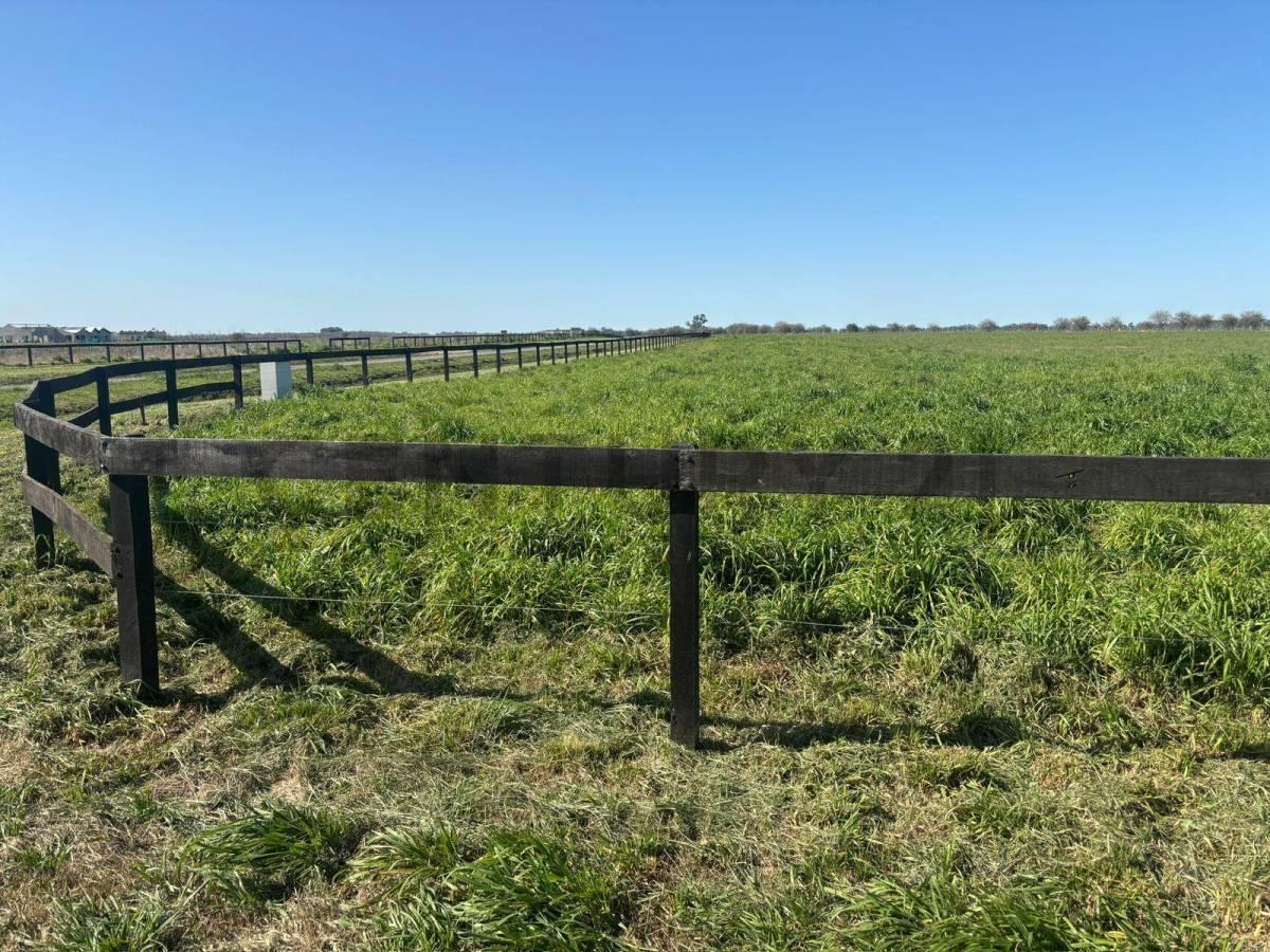 Foto de LOTE EN VENTA – CHACRAS DE LA TRINIDAD – CAÑUELAS, imagen 4