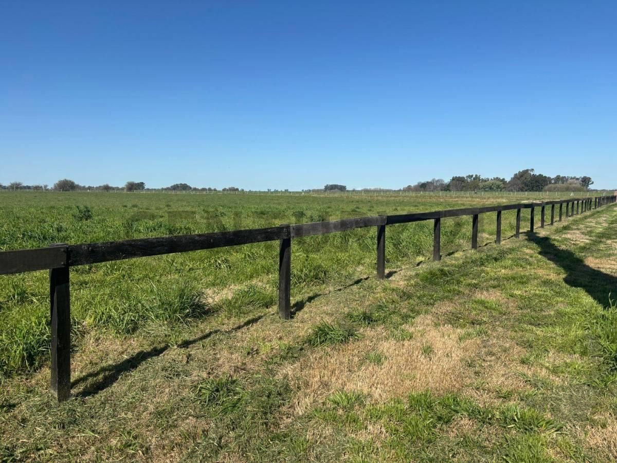 Foto de LOTE EN VENTA – CHACRAS DE LA TRINIDAD – CAÑUELAS, imagen 2