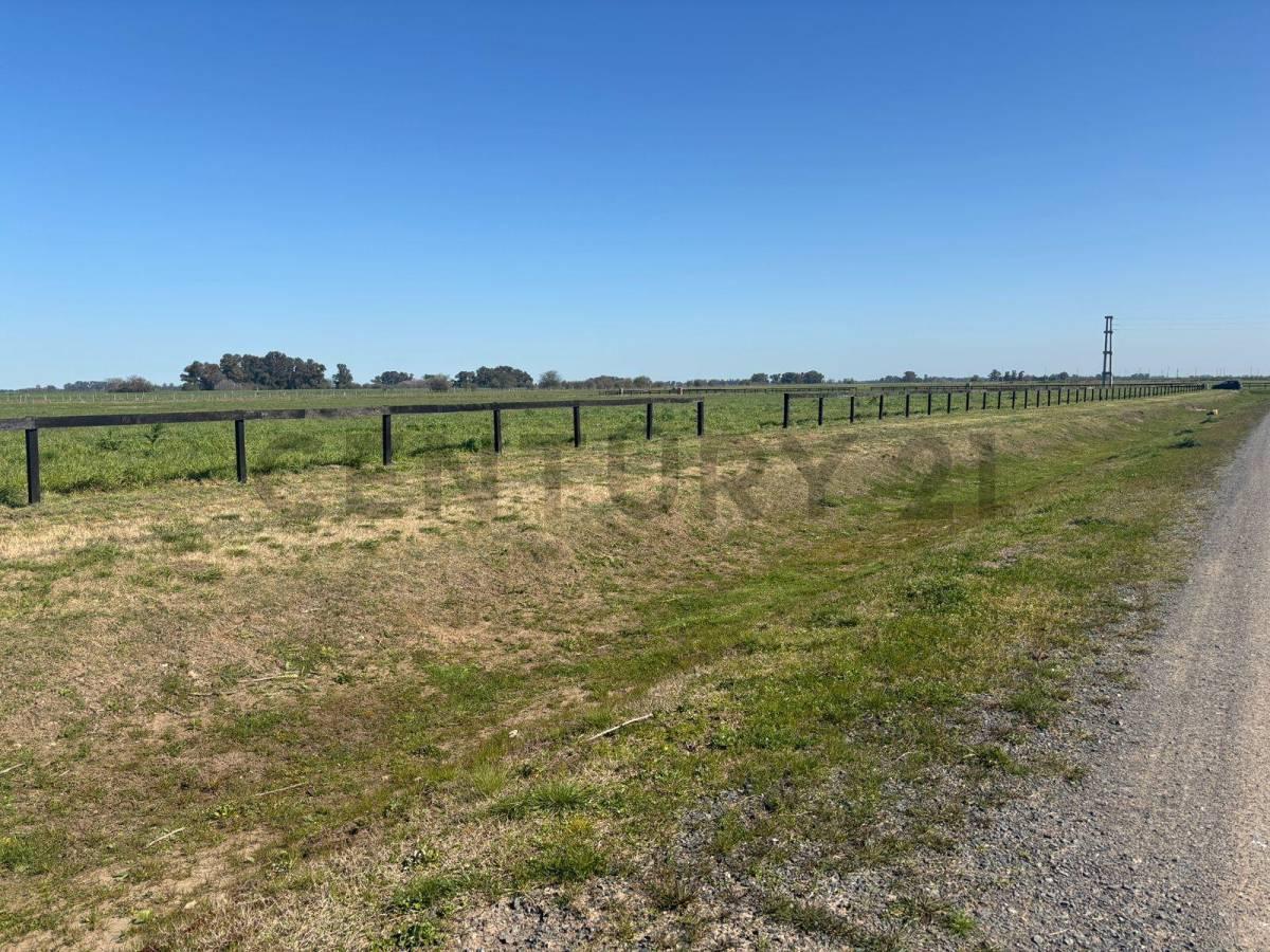 Foto de LOTE EN VENTA – CHACRAS DE LA TRINIDAD – CAÑUELAS, imagen 1