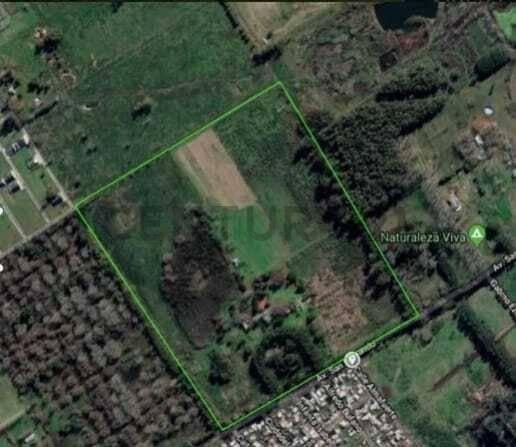 Foto de VENTA CAMPO GENERAL RODRIGUEZ, imagen 5