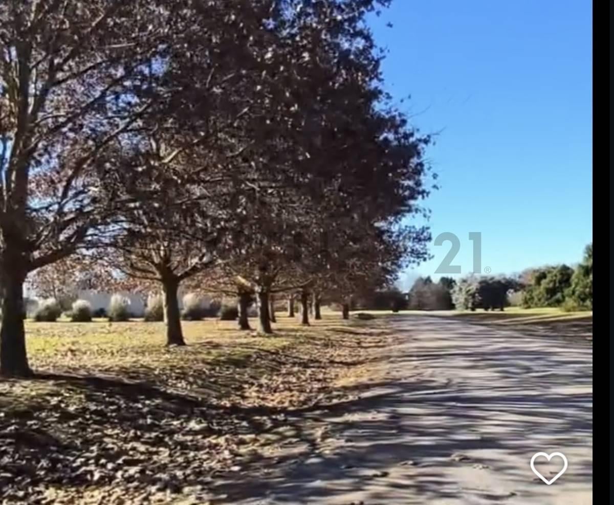 Foto de VENTA LOTE CHACRAS LA PRIMAVERA LUJAN GOLF DLUB 3007 M2 INMEJORABLE, imagen 5
