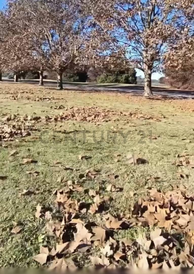 Foto de VENTA LOTE CHACRAS LA PRIMAVERA LUJAN GOLF DLUB 3007 M2 INMEJORABLE, imagen 4