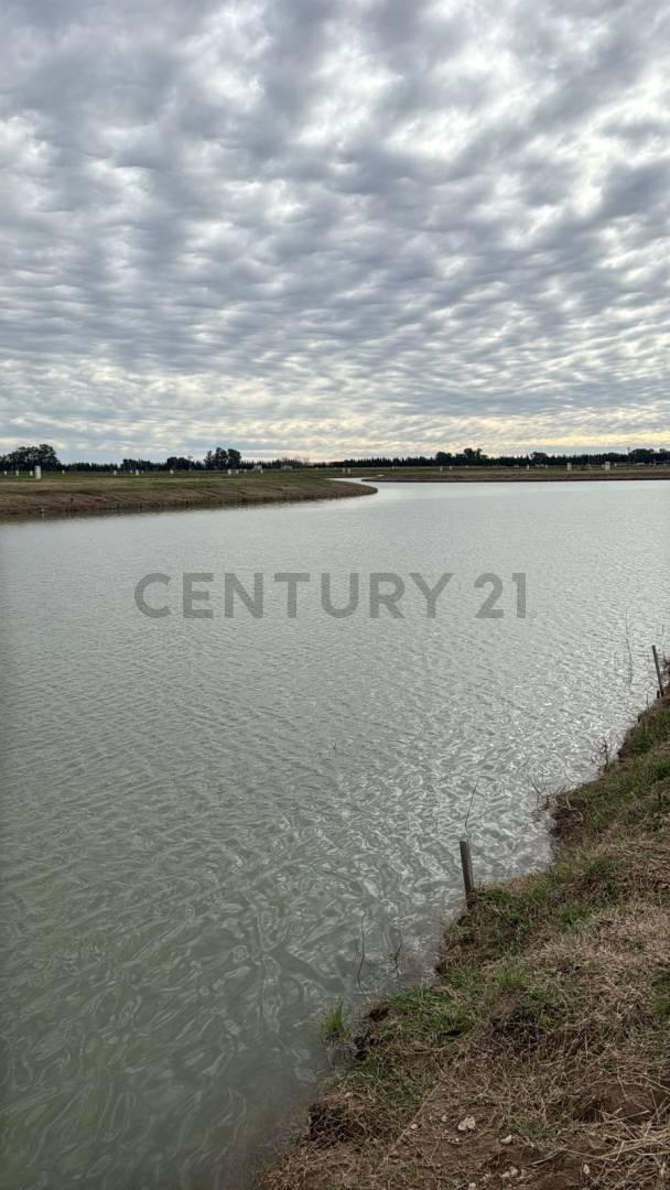 Foto de VENTA | LOTE CON VISTA AL LAGO | LAS VICTORIAS | CANNING, imagen 4