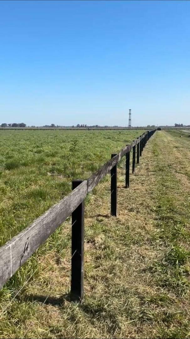Foto de LOTE EN VENTA – CHACRAS DE LA TRINIDAD – CAÑUELAS, imagen 3