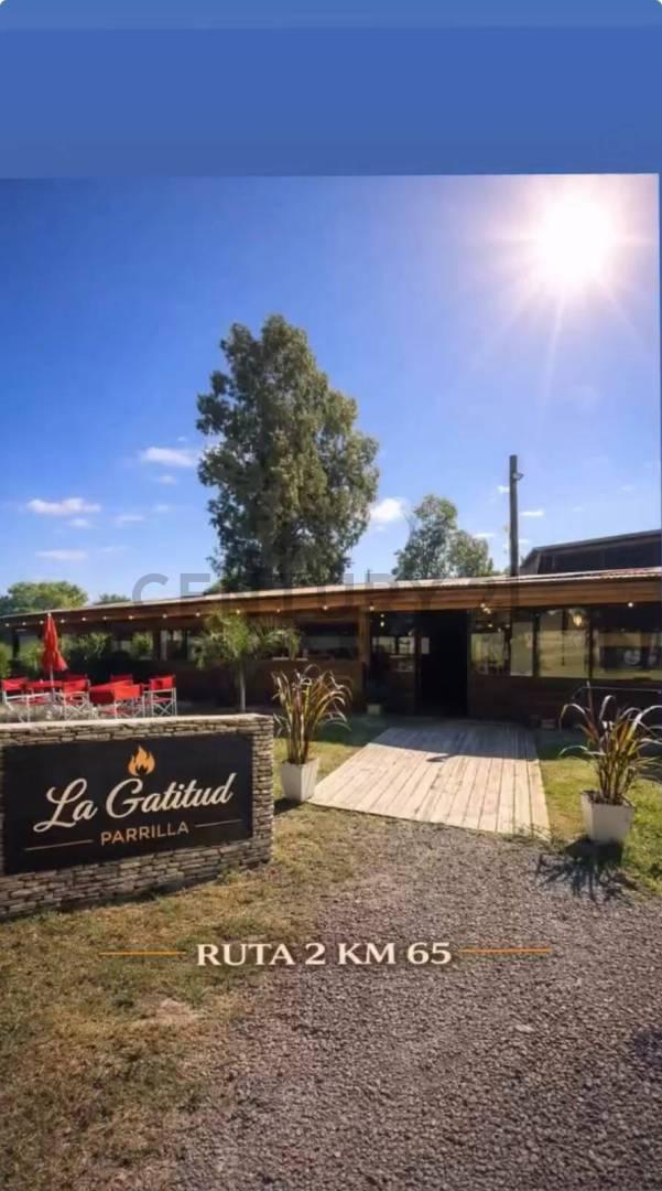 Foto de VENTA | LOTE | LA PLATA | IDEAL USO COMERCIAL, imagen 4