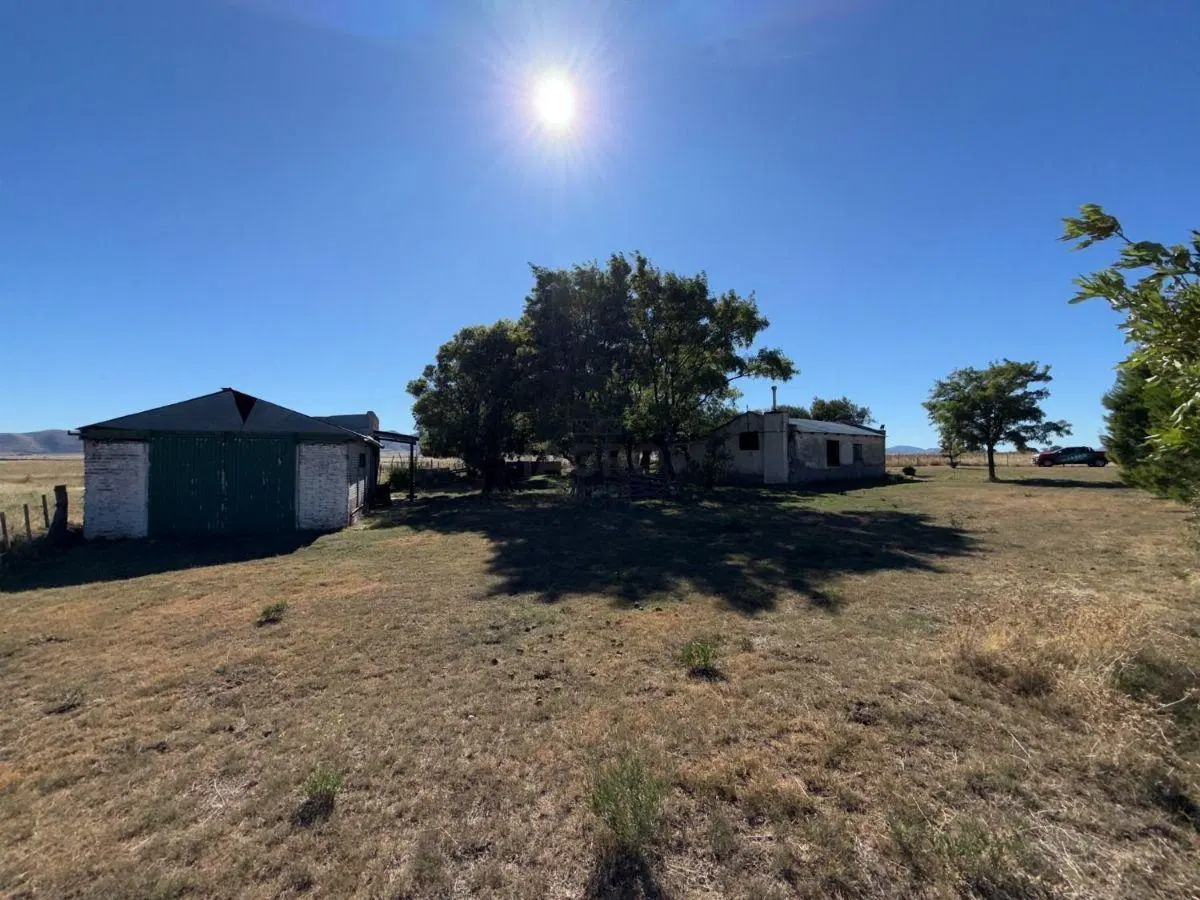 147 HAS. SAAVEDRA - EN VENTA 3