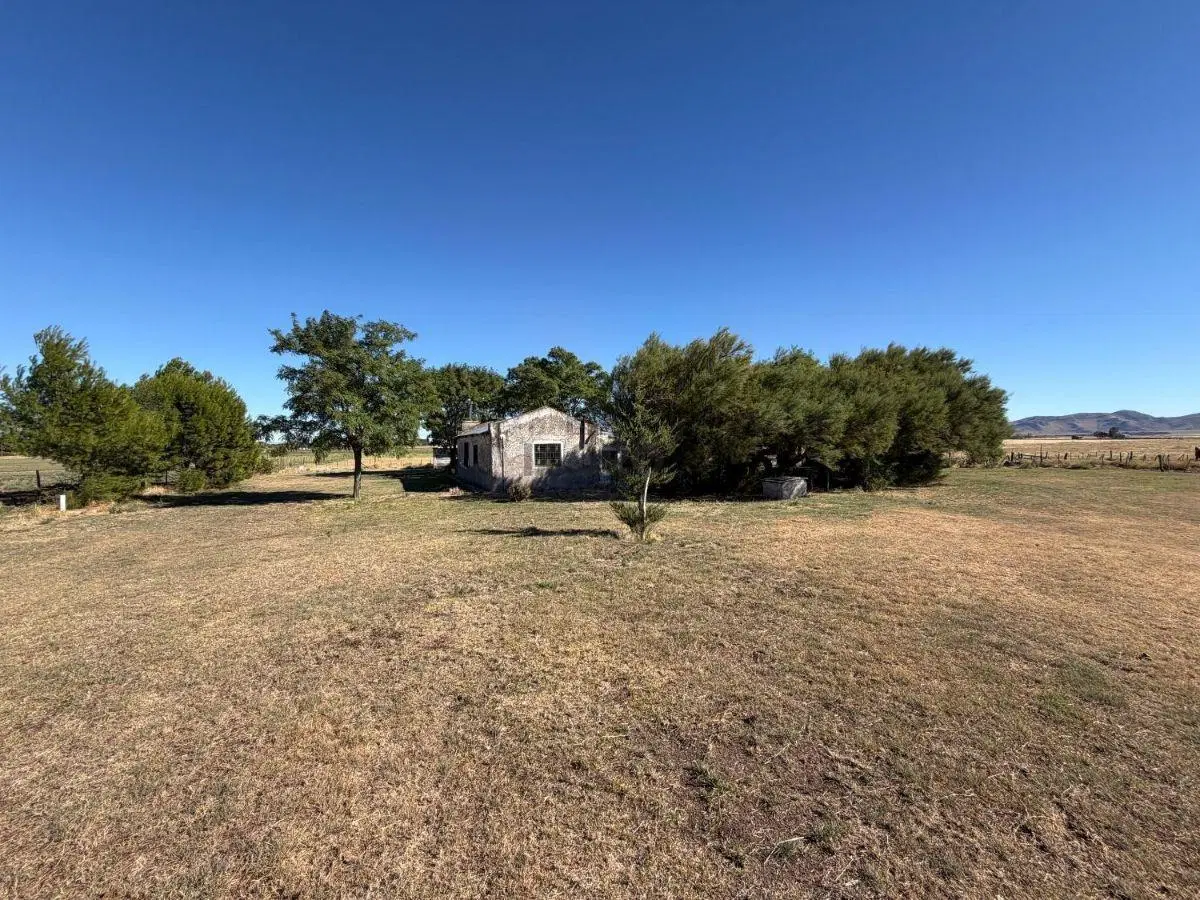 147 HAS. SAAVEDRA - EN VENTA 2