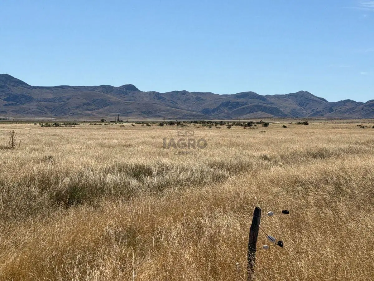 147 HAS. SAAVEDRA - EN VENTA 5