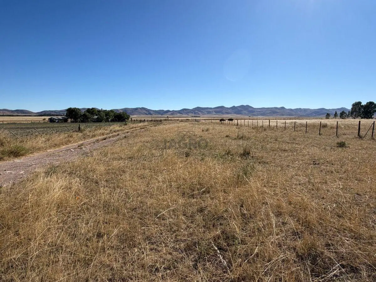 147 HAS. SAAVEDRA - EN VENTA 4