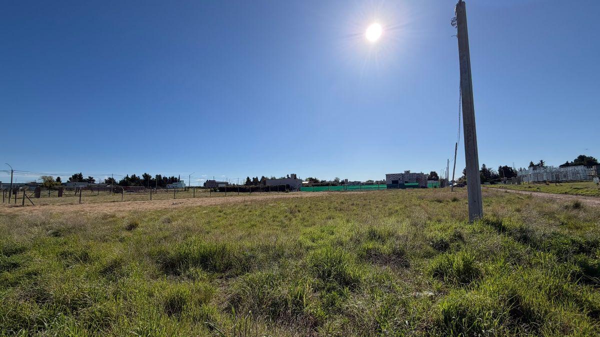 Foto de Lote en VENTA, Villa del Parque, Bahia Blanca, imagen 4