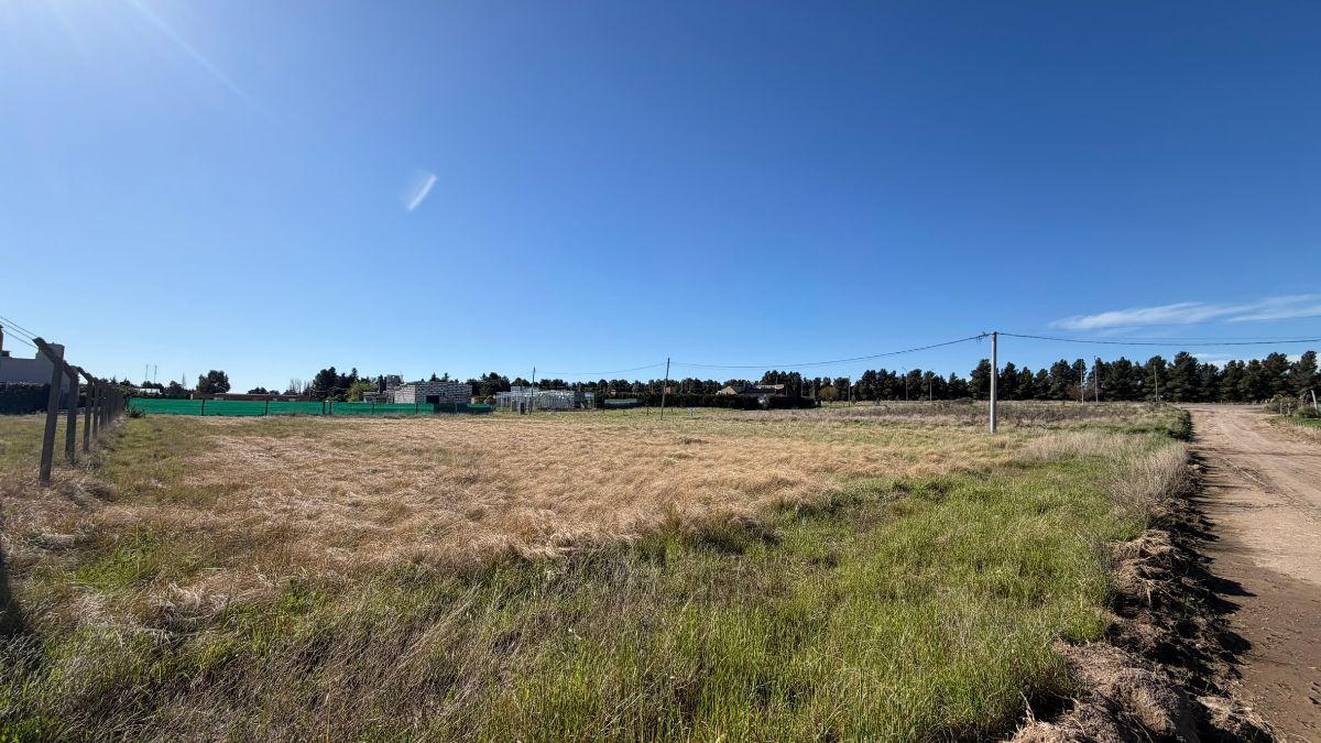 Foto de Lote en VENTA, Villa del Parque, Bahia Blanca, imagen 2