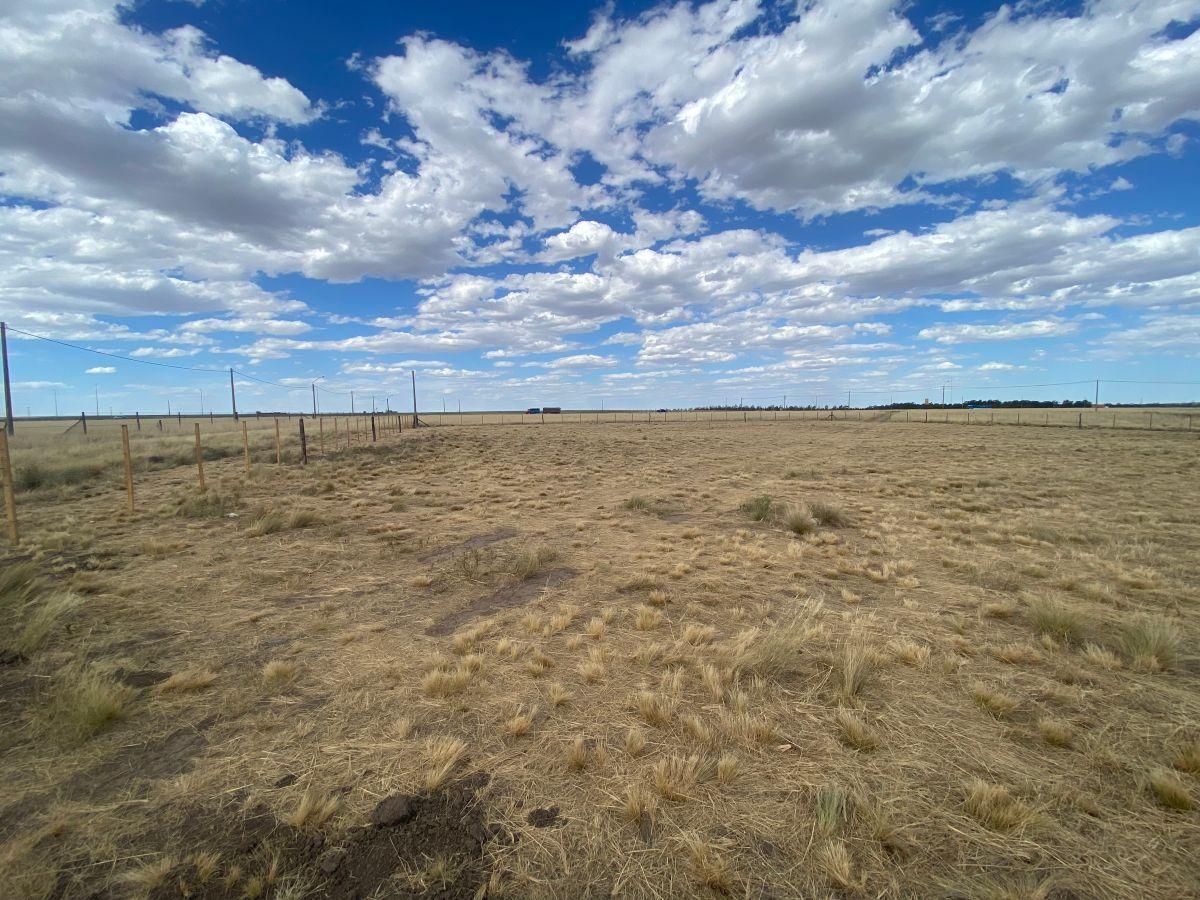 Foto de Lote en VENTA- De Angelis 4300, Las Calandrias, Bahía Blanca, imagen 3