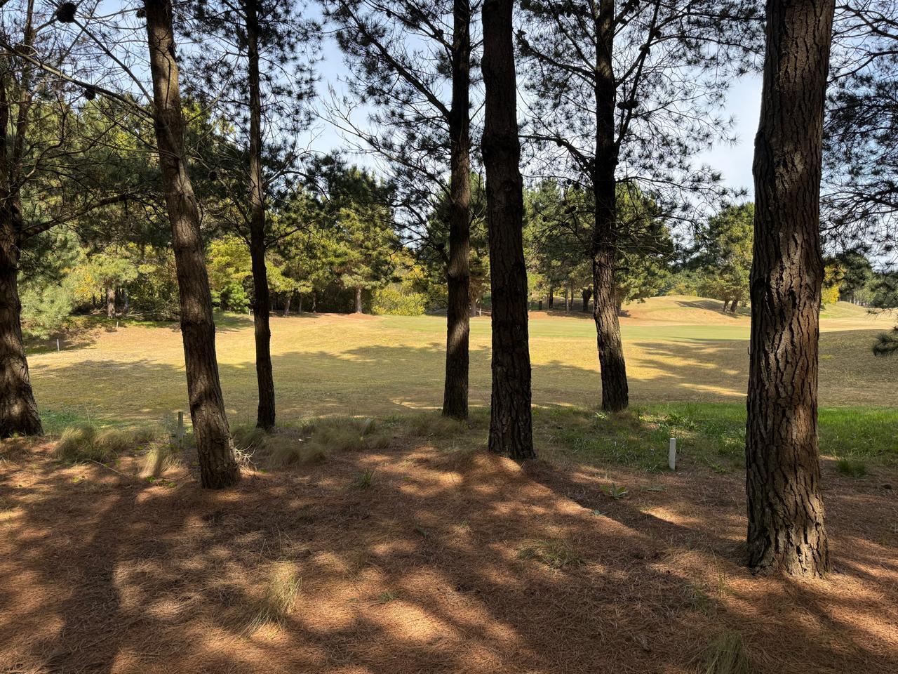 Foto de Terreno en Venta - Costa Esmeralda, imagen 2
