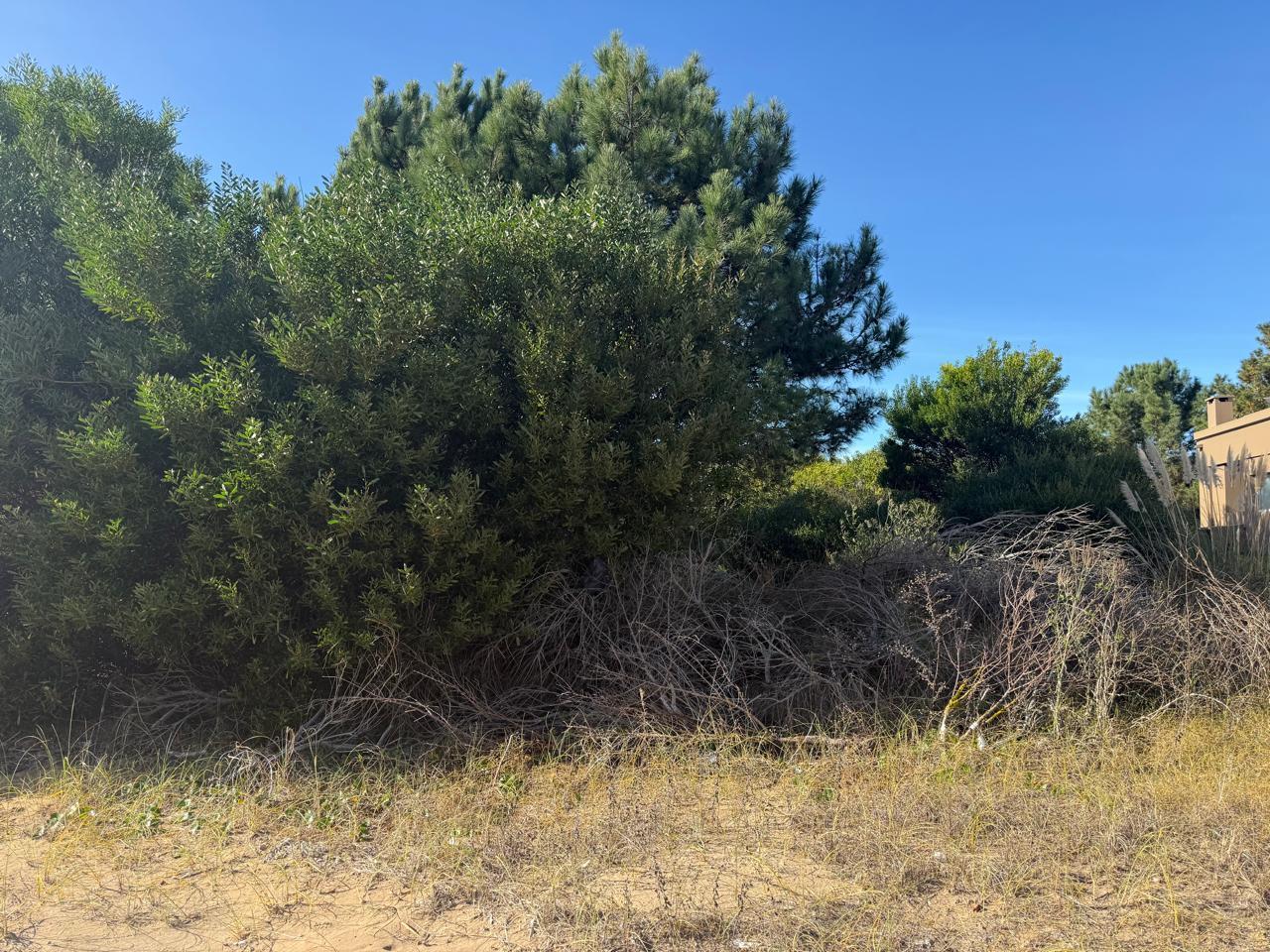 Foto de Terreno en Venta - Costa Esmeralda, imagen 3