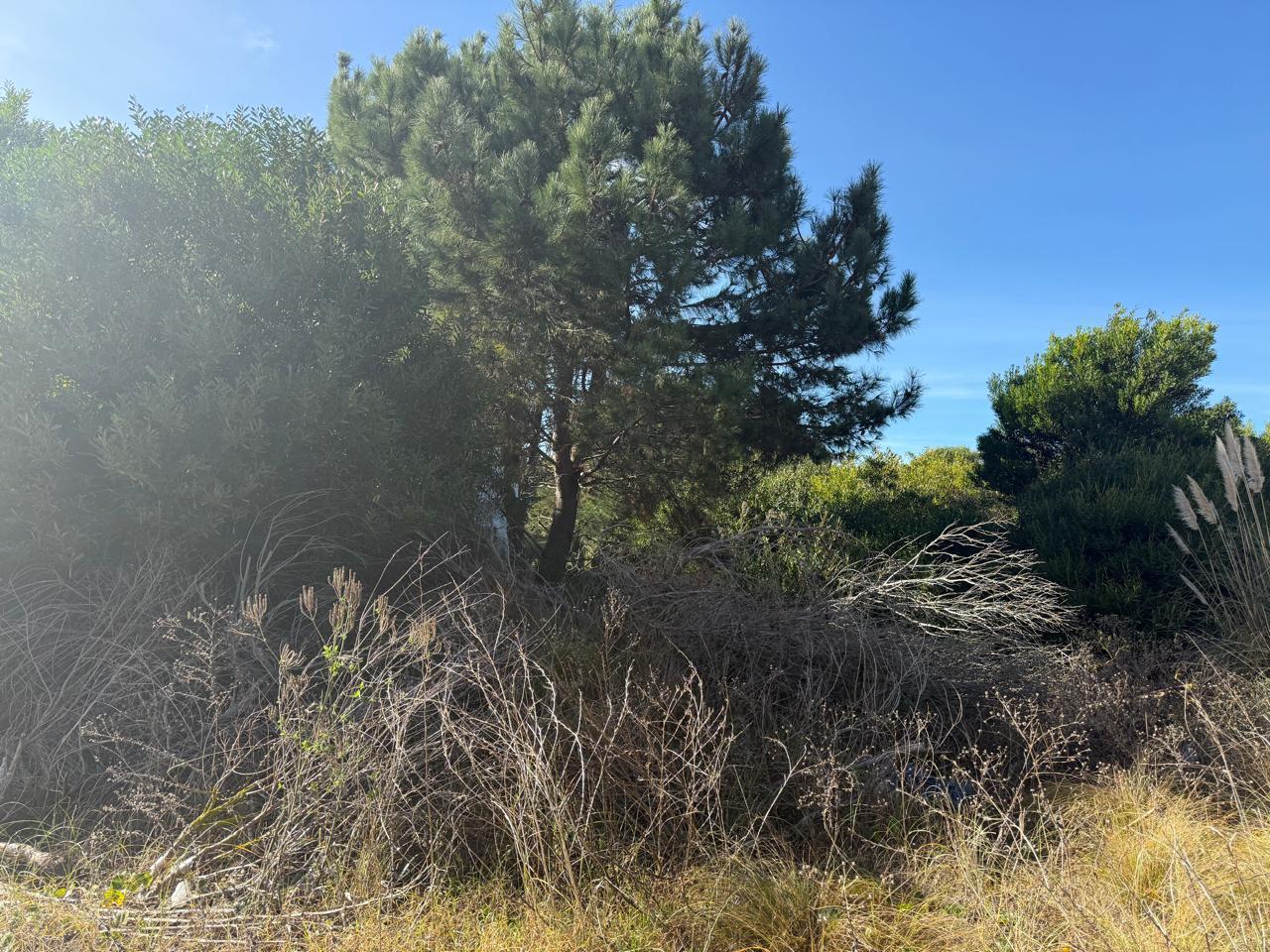 Foto de Terreno en Venta - Costa Esmeralda, imagen 4