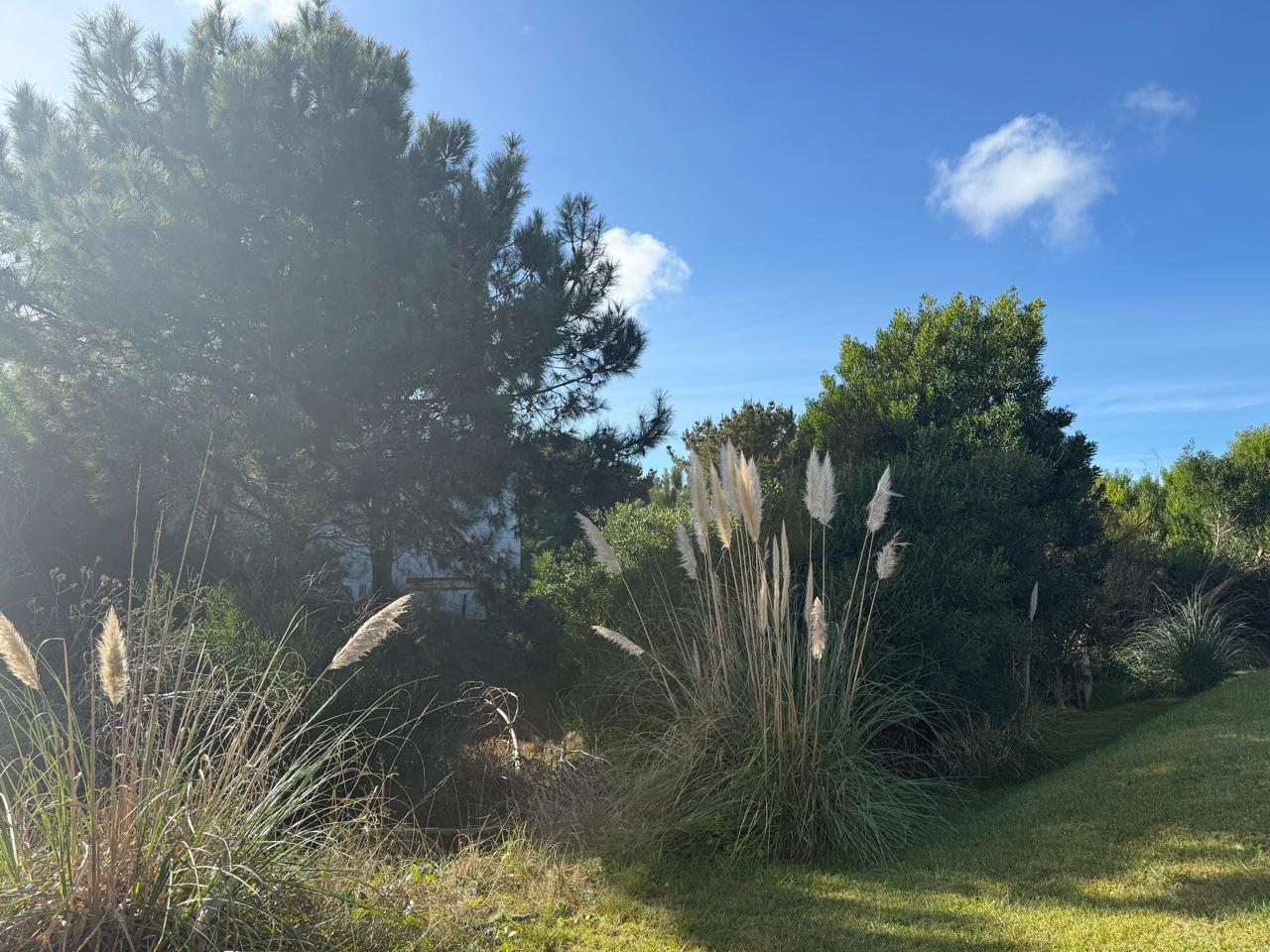 Foto de Terreno en Venta - Costa Esmeralda, imagen 1