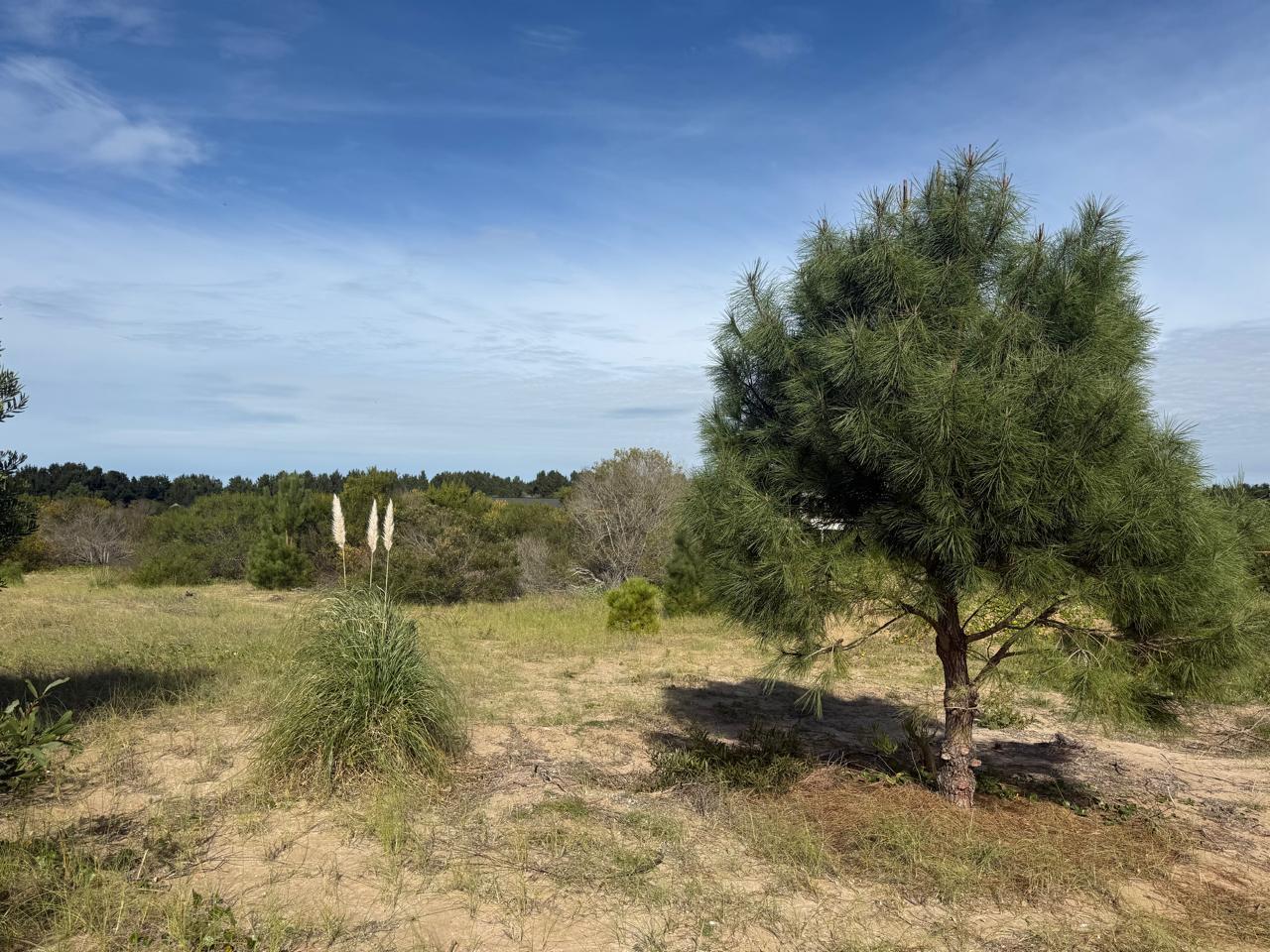 Foto de Terreno en Venta - Costa Esmeralda, imagen 1