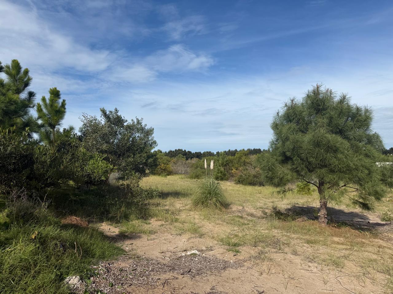 Foto de Terreno en Venta - Costa Esmeralda, imagen 3