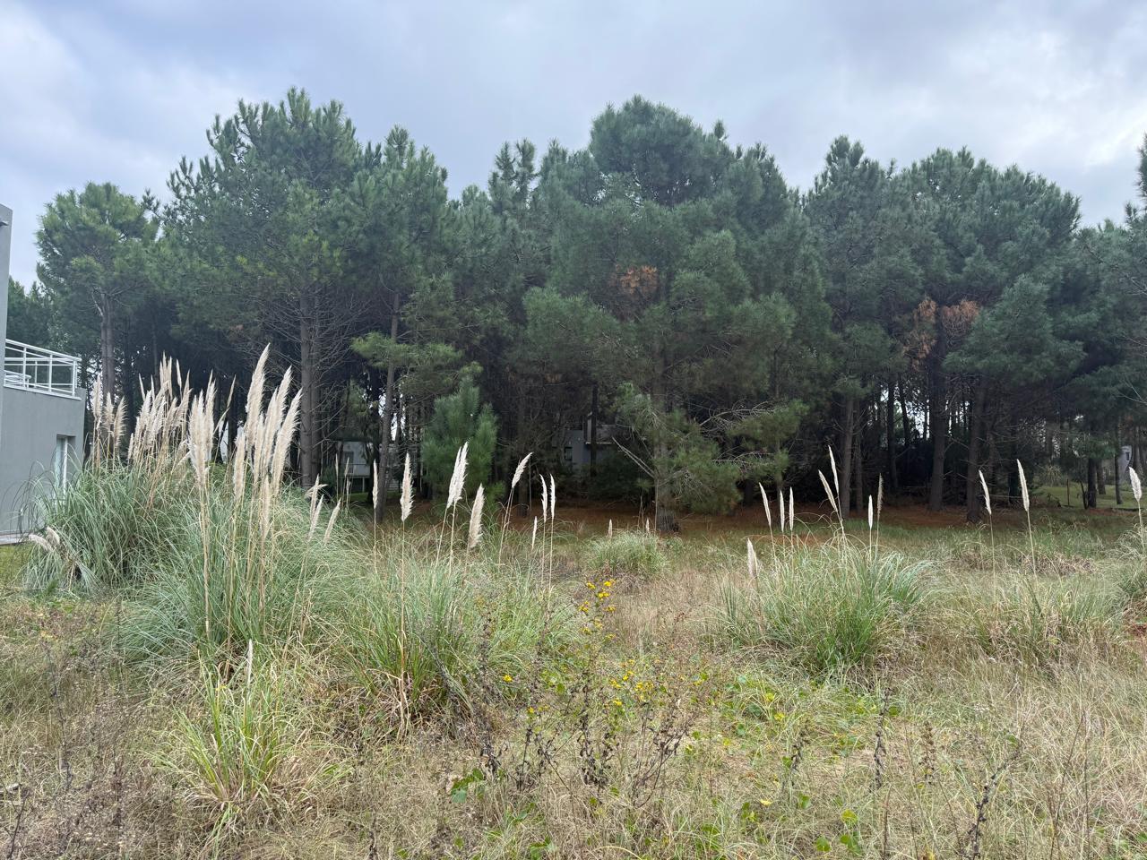 Foto de Residencial I al 200, imagen 4