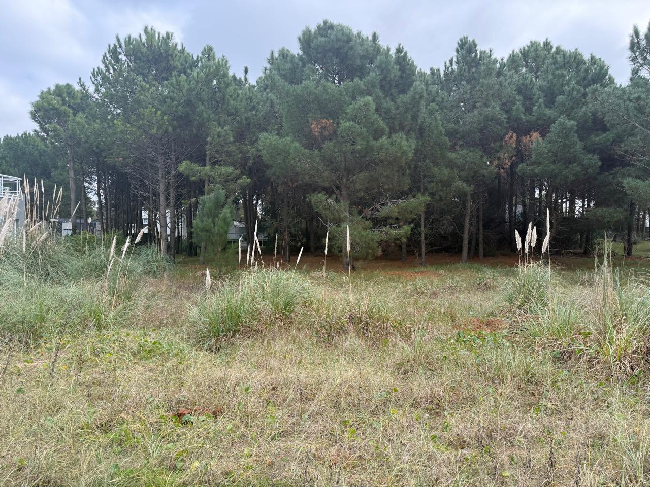 Foto de Residencial I al 200, imagen 3