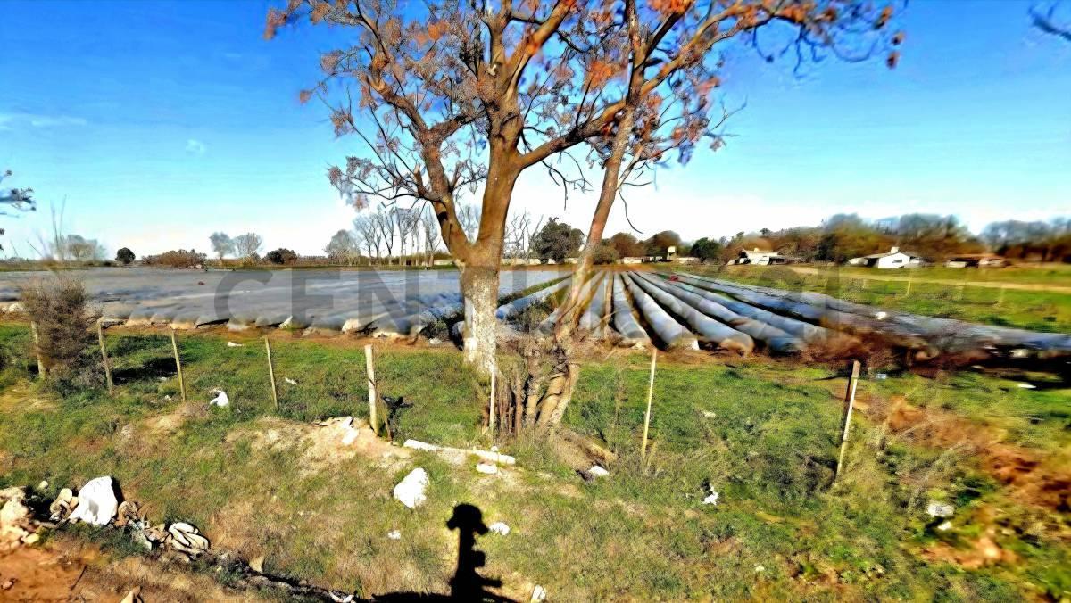 Foto de Fracción de campo lote de 22 hectáreas en Derqui Cuartel V Pilar, imagen 2
