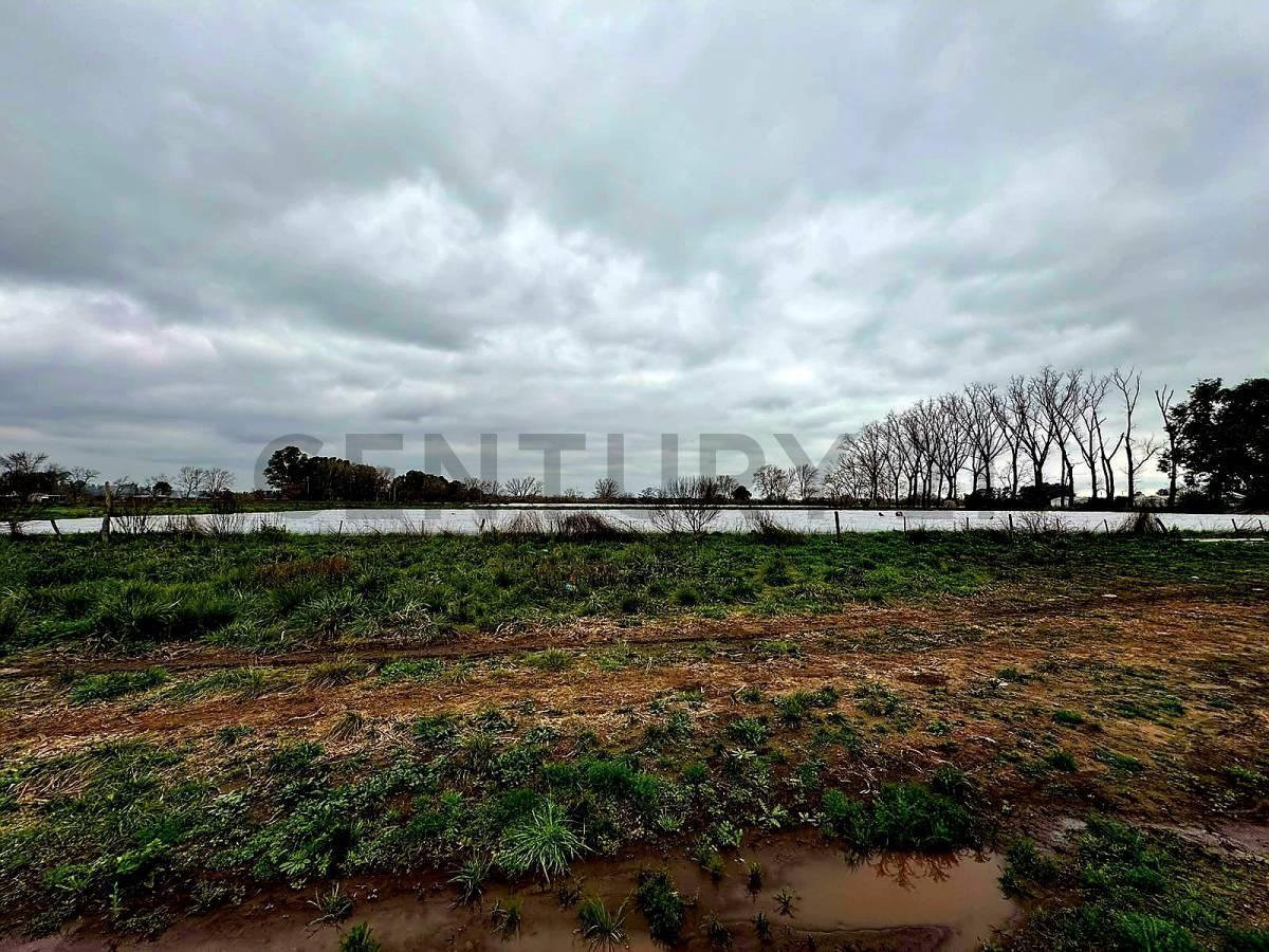 Foto de Fracción de campo lote de 22 hectáreas en Derqui Cuartel V Pilar, imagen 5