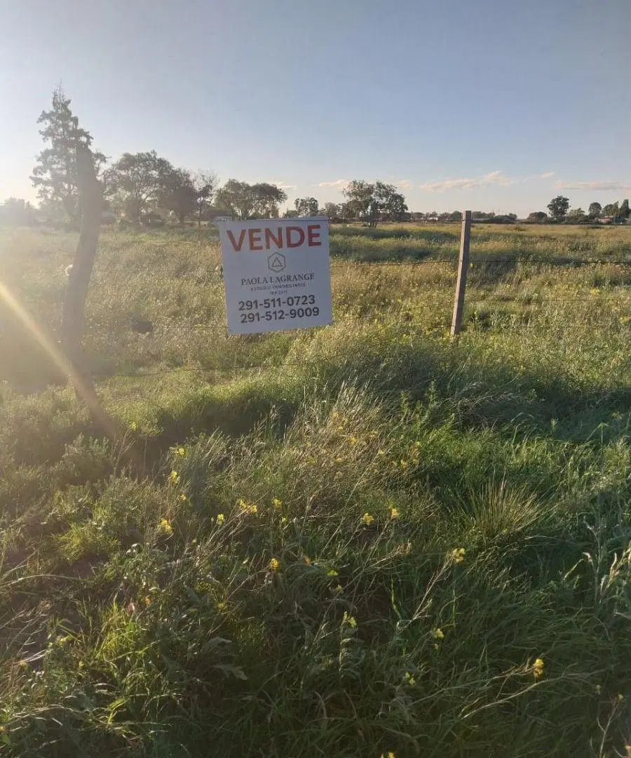 Venta fracción de campo 8500 m2 en Stroeder. 4