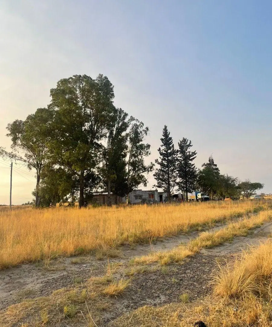 Venta fracción de campo 8500 m2 en Stroeder. 3