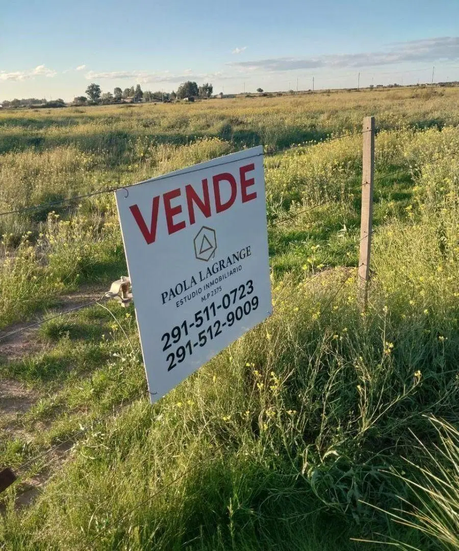 Venta fracción de campo 8500 m2 en Stroeder. 5